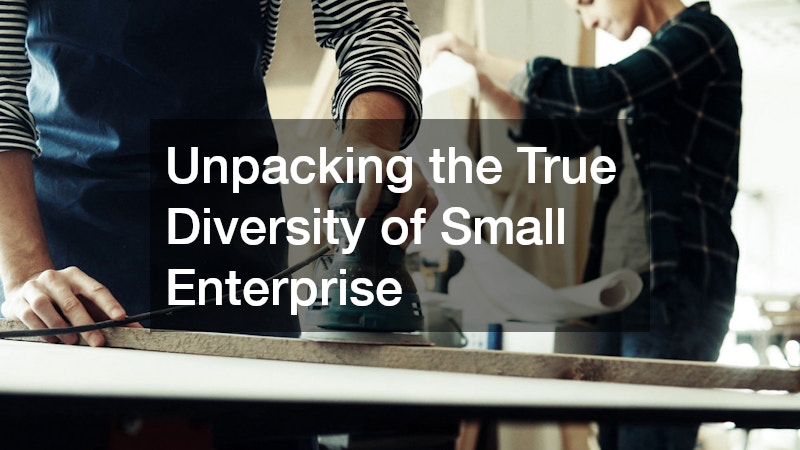 Unpacking the True Diversity of Small Enterprise